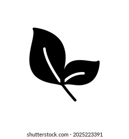 autumn leaf maple icon vector