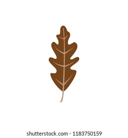 Autumn leaf. Autumn maple leaf isolated on a white background. Vector illustration leaf vector