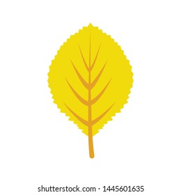 Autumn leaf. Autumn maple leaf isolated on a white background. Vector illustration