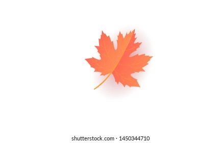 Autumn leaf. Autumn maple leaf isolated on a white background. Vector illustration