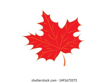 Autumn leaf (maple) isolated on a white background. Icon, silhouette, vector illustration.