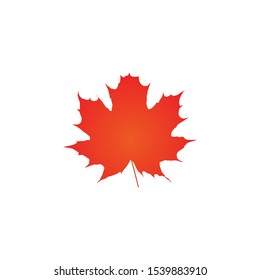 Autumn leaf. Autumn maple leaf isolated on a white background. Vector illustration