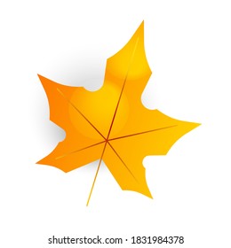 Autumn leaf. Autumn maple leaf isolated on a white background. simple cartoon flat style, vector illustration. For your poster, placard, card or flyer design. Maple Orange yellow leaf.