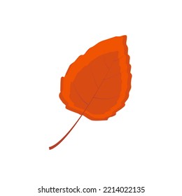 Autumn leaf. Autumn maple leaf isolated on a white background. Vector illustration