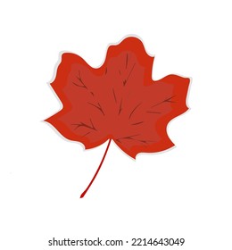 Autumn leaf. Autumn maple leaf isolated on a white background. Vector illustration