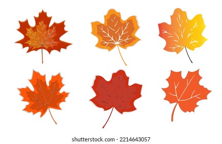 Autumn leaf. Autumn maple leaf isolated on a white background. Vector illustration