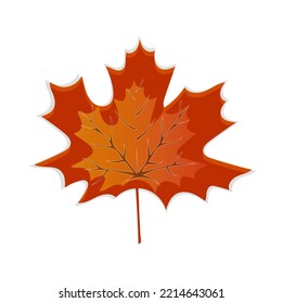 Autumn leaf. Autumn maple leaf isolated on a white background. Vector illustration