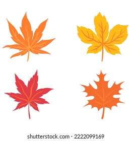 Autumn leaf. Autumn maple leaf isolated on a white background. . Autumn leaves. Vector illustration