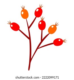 Hoja de otoño. Hojas de arce otoñales aisladas en un fondo blanco. ... Hojas de otoño. Ilustración del vector