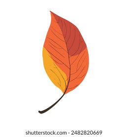 
Hoja de otoño en diseño minimalista, estilo plano.