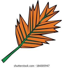 autumn leaf, nature, vector illustration