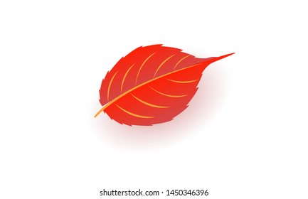 Autumn leaf. Autumn oak leaf isolated on a white background. Vector illustration