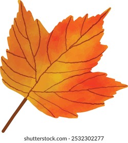 Hoja de otoño roble arce fondo blanco