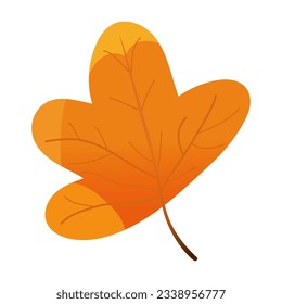 autumn leaf object vector illustration