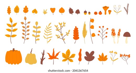 Autumn leaf on tree branch, nature plants, fall simple decoration element set vector illustration. Cartoon autumn floral collection of forest or garden leaves, red berry, wild flower isolated on white