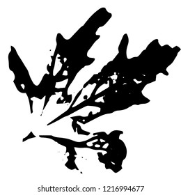 Autumn leaf on a white background vector illustration. Leaf print with textured.