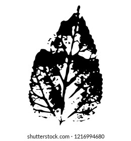 Autumn leaf on a white background vector illustration. Leaf print with textured.
