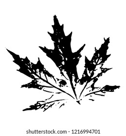 Autumn leaf on a white background vector illustration. Leaf print with textured.