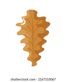 autumn leaf on white background icon