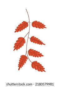 Autumn leaf on white background. Vector illustration