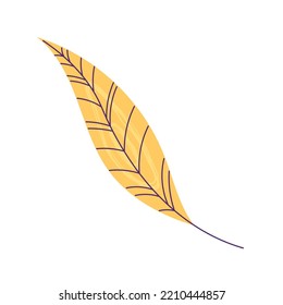Autumn leaf on white background.