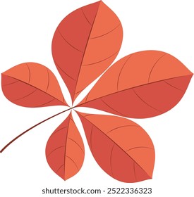 Autumn leaf on white background. Chestnut leaf. Vector illustration.