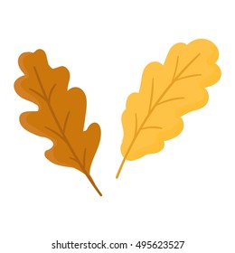 autumn leaf on white background