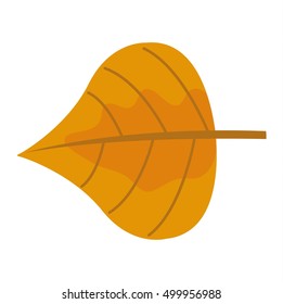 autumn leaf on white background