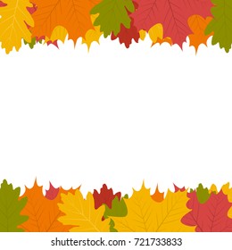 Autumn leaf on a white background