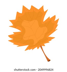Autumn leaf orange color close up isolated on white background vector illustration