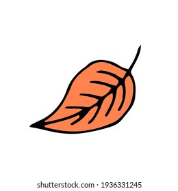 Herbstblatt mit orangefarbener Farbe. Vektorhandgezeichnete doodle-Illustration.