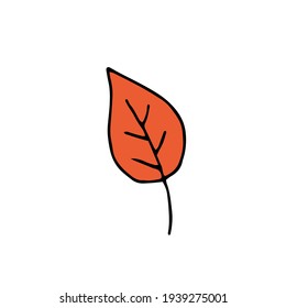 Autumn leaf of orange color. Vector hand-drawn doodle illustration.