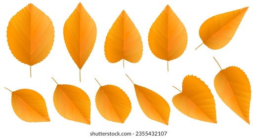 Ícono naranja otoñal de la hoja otoño