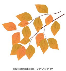 Autumn Leaf Autumn Orange Icon