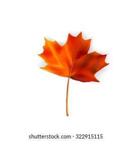 Autumn leaf in orange tones - vector illustration