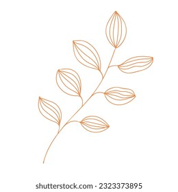 Autumn leaf outline. Hand drawn element for autumn decorative design, halloween invitation, harvest or thanksgiving. Vector illustration