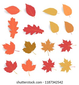 Autumn leaf pack. Leave fall in flat color with soft shadow. Maple leaf dry for decorate promotion banner and printing design. Vector illustration.