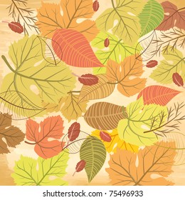 Autumn leaf pattern