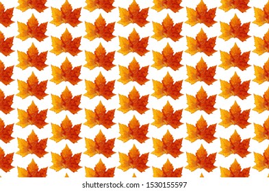 Autumn leaf pattern background, editable vector design for web and textile use