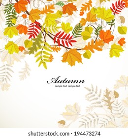 Autumn leaf pattern for your design