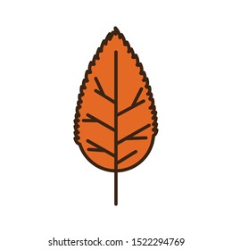autumn leaf plant seasonal isolated icon vector illustration design