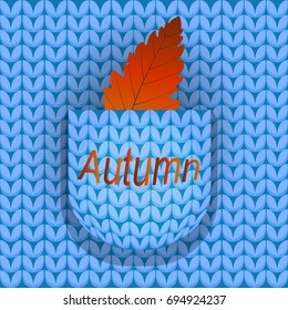 autumn leaf a pocket of a knitted pullover