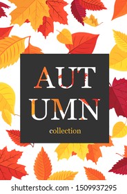 Autumn leaf poster. Orange maple leaves, birch, September foliage placed in a square frame with autumn text for autumn greeting card or banner design.