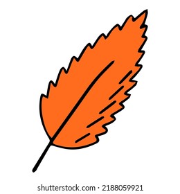 Autumn leaf red. Doodle style. Hello, Autumn. Design or sticker. Isolated illustration. Vector
