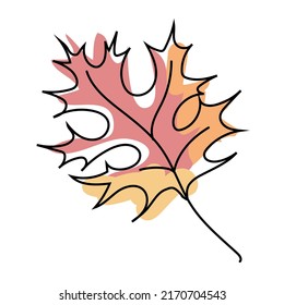 Autumn leaf of red oak tree isolated on white background. Maple leaves in linear art with the addition of red and orange spots. Vector illustration.