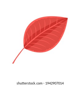 autumn leaf red, vector illustration