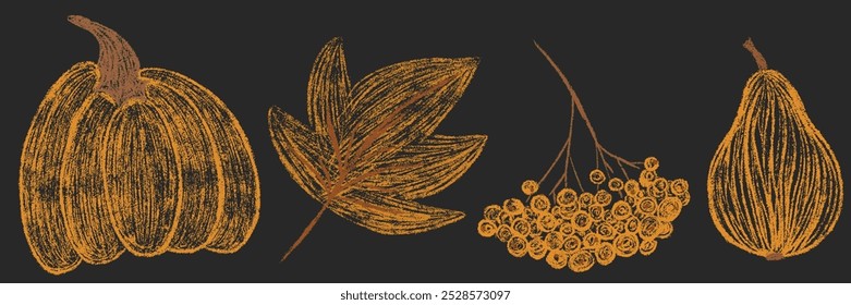 Autumn leaf, rowan berries branch, pumpkin. Fall orange chalk drawing collection. Pencil texture freehand childish elements set. Crayon textured kids isolated vector illustration