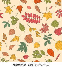 Autumn leaf seamless pattern. Coloured tree leaves print