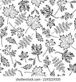 Autumn leaf seamless pattern. Hand drawn backdrop. Thanksgiving background. Fall design for wrapping paper or fabrics and other