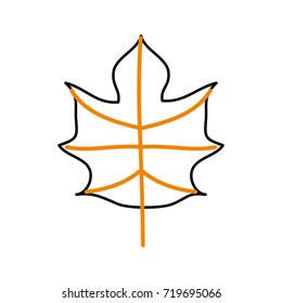 autumn leaf season natural foliage flora
